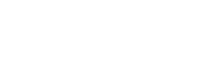 Tsunami Digital_Logo_Hor4 (1)blanco